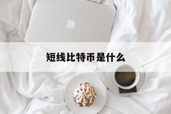 短线比特币是什么(比特币短线软件哪个好用)